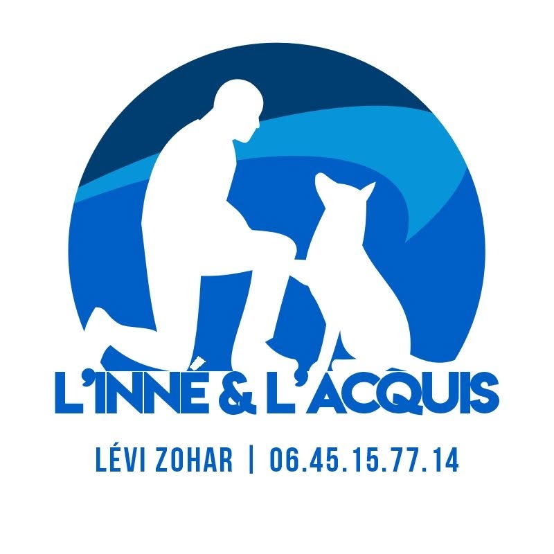 Levi Zohar