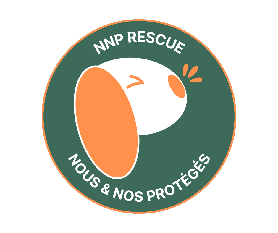 NNP