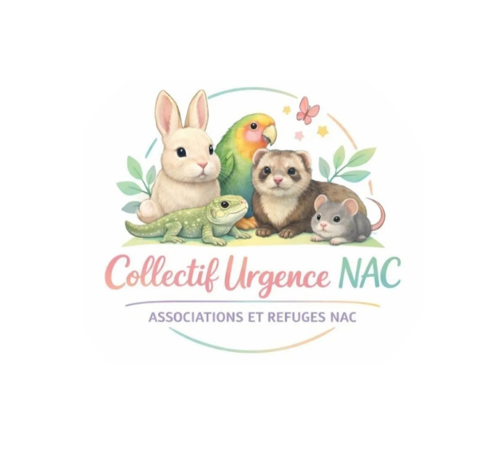 Collectif Urgence NAC