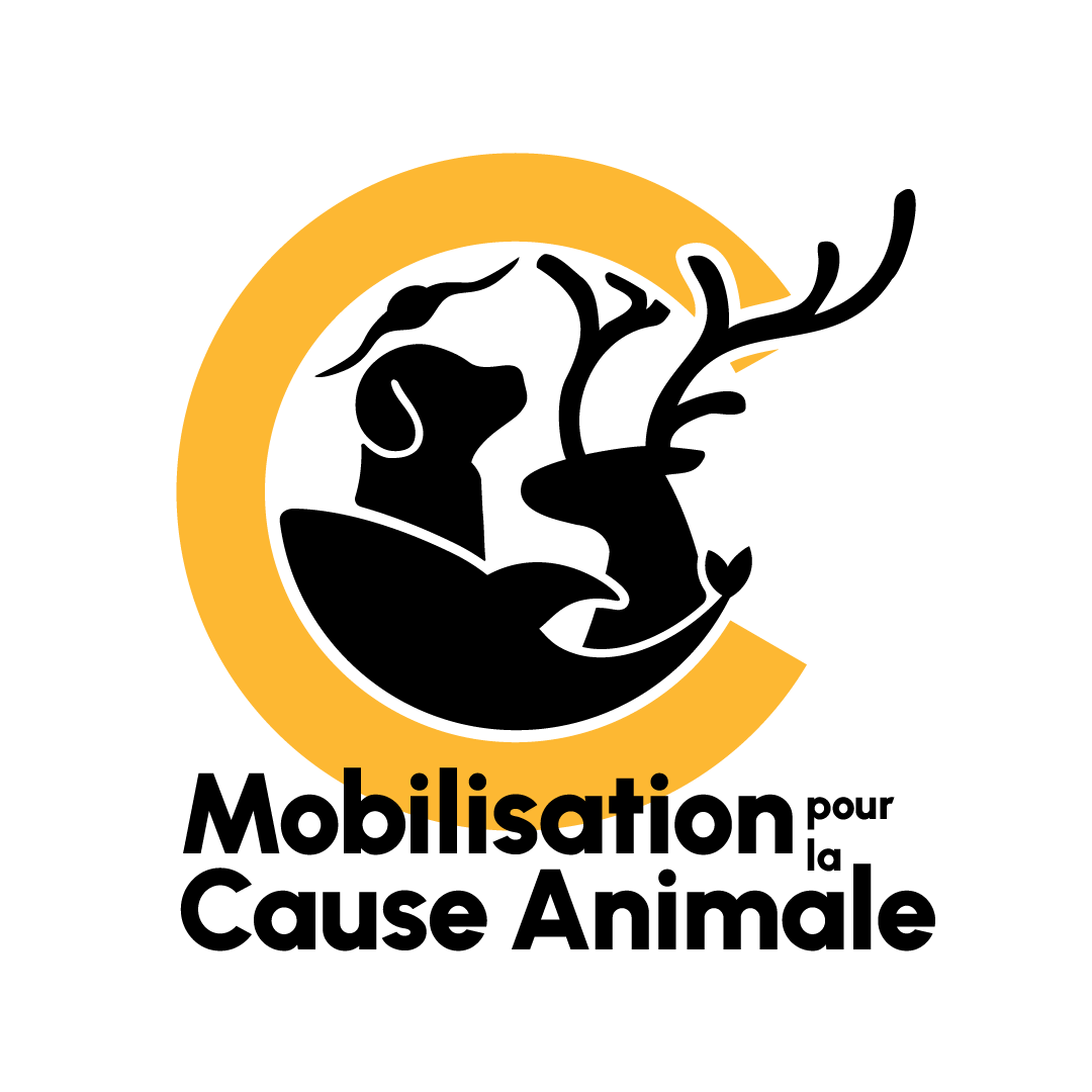 MCA