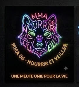 MMA 60