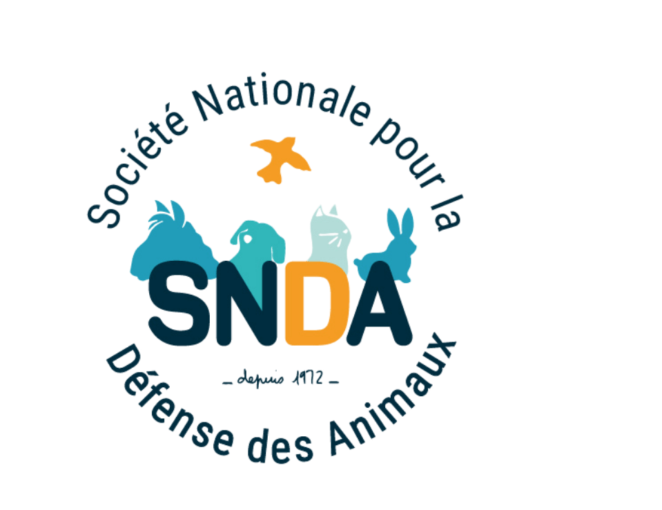 SNDA