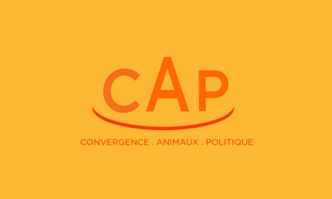 Convergence Animaux Politique