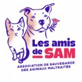 Les amis de Sam