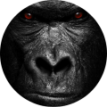Photo profil auteur