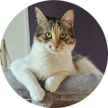 Photo profil auteur