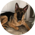 Photo profil auteur