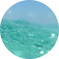 Photo profil auteur