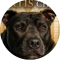 Photo profil auteur