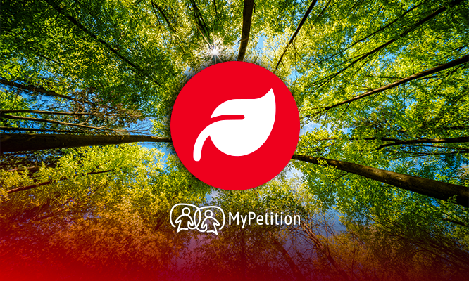 Protection des Espaces Boisés Classés