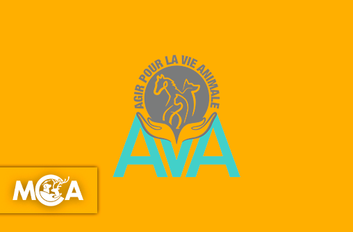 AVA : Un havre de paix pour les oubliés de la ferme !