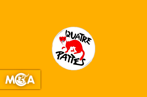Actu animale