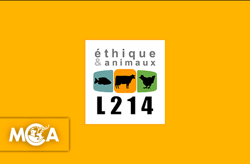 L214 : La voix des animaux élevés pour la consommation
