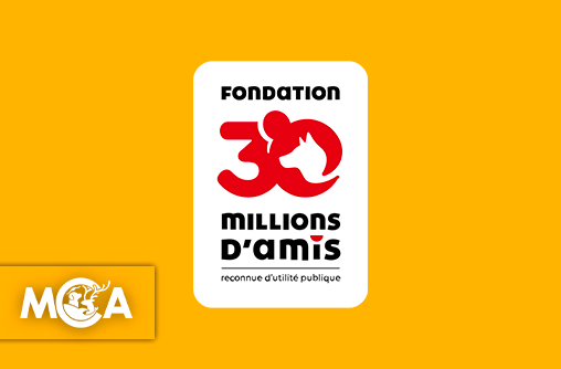 Fondation 30 Millions d'Amis : Un combat historique pour la protection animale