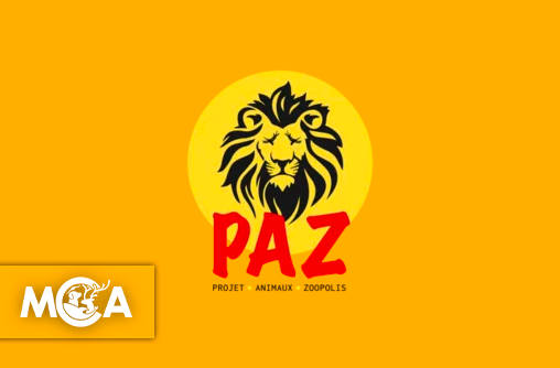 PAZ : La voix indispensable des animaux oubliés de nos villes