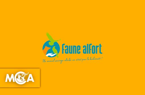 Faune Alfort :  l'hôpital de la dernière chance pour la faune sauvage francilienne