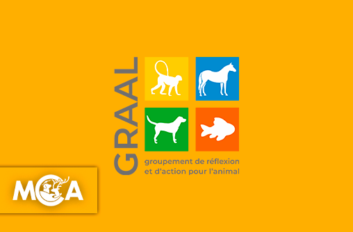 Le GRAAL, l'association pionnière qui offre une retraite aux animaux de laboratoire