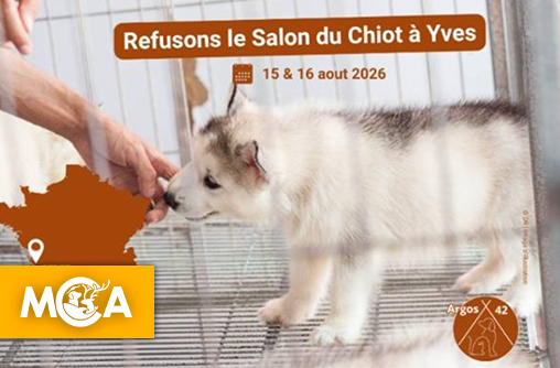 Victoire à Yves : le salon du chiot définitivement interdit par la justice !