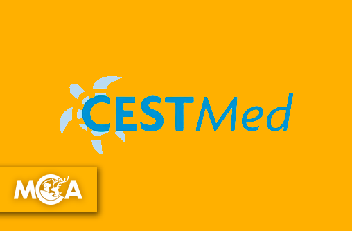 CESTMed : plongée au cœur de l'unique hôpital pour tortues marines de Méditerranée française
