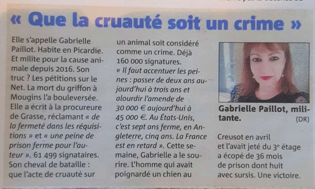 Petition : Peine de prison ferme pour l'individu ayant tué à coups de fusil son griffon à Mougins et l'ayant jeté dans une benne à ordures le 27 juin 2020