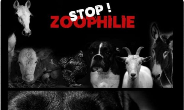 Petition : Justice pour 