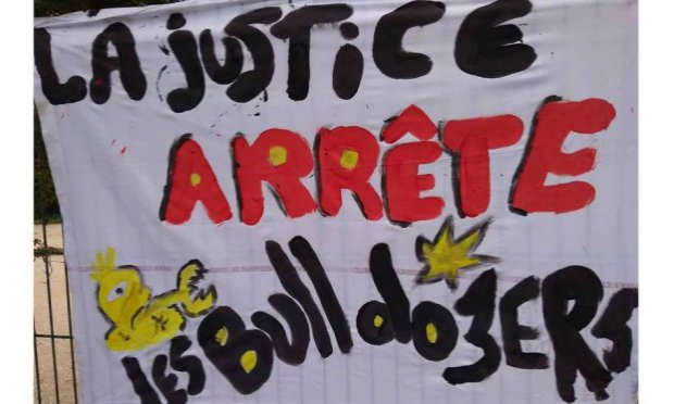 Petition : Halte au massacre des Salamandres !