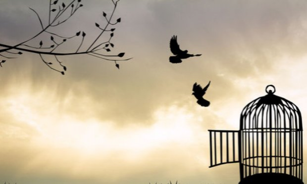 Petition : Non au port obligatoire du masque - Oui à la responsabilité de chacun