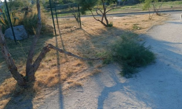 Petition : Stop aux incivilités dans la crique de l'angle