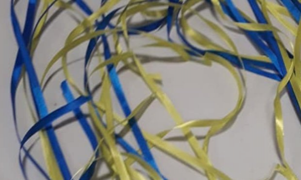 Petition : Challenge 