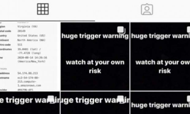 Petition : Un compte sur Instagram, publie des vidéos où sont torturés des châtons et des chiots