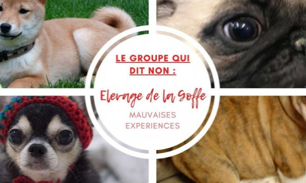 Petition : NON à l'animalerie 