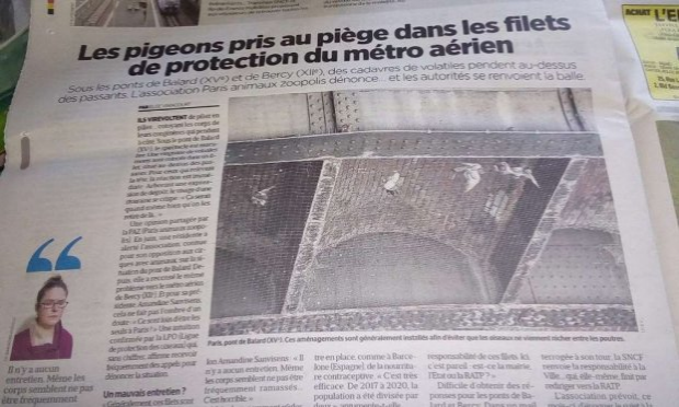 Petition : On demande à la SNCF d'arrêter d'investir dans la maltraitance animale.