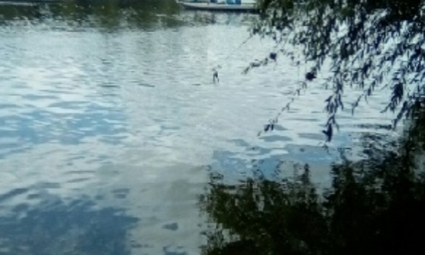 Petition : Arrêtez la pêche professionnelle dans les fleuves