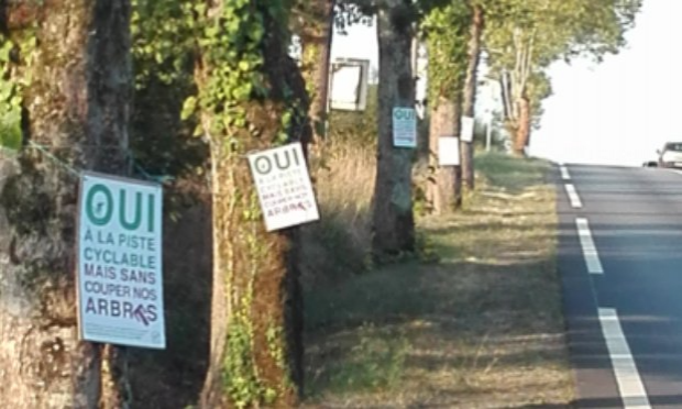 Petition : Non à l'abattage des arbres avenue d'Oradour sur Glane à Saint Junien