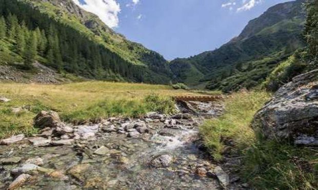 Petition : Abandon du projet de construction d’une microcentrale hydroélectrique à Peisey-Nancroix