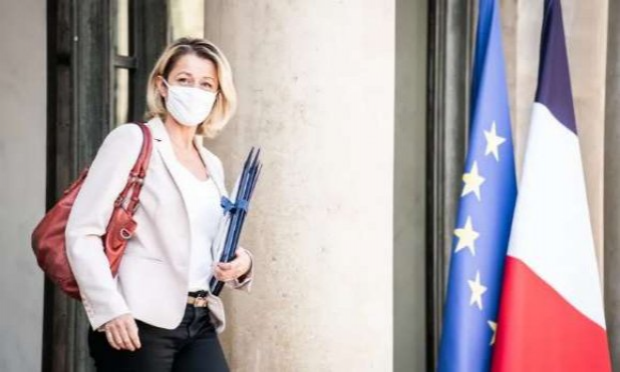 Petition : En marche vers une évolution radicale des droits des animaux en France