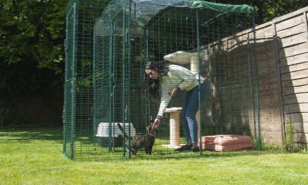 Petition : NON À LA DIVAGATION DES CHATS IDENTIFIÉS