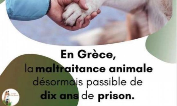 Petition : Pour que les actes de cruauté envers les animaux soient considérés comme un crime
