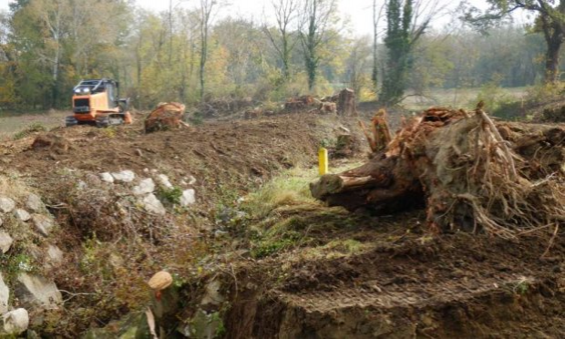Petition : Halte à la destruction systématique de nos forêts alluviales
