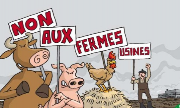Petition : Une ferme de 400 vaches ne peut être protectrice de l'environnement !