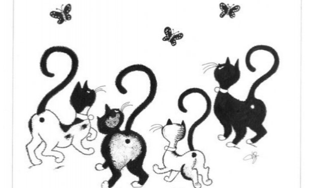 Petition : Pitié pour les chats !