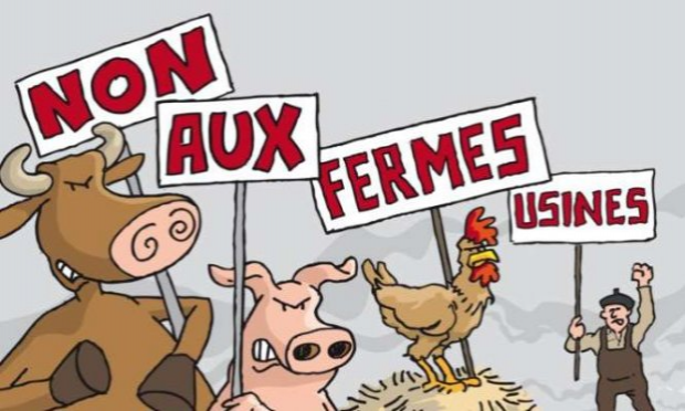 Petition : Une ferme de 400 vaches ne peut être protectrice de l'environnement !