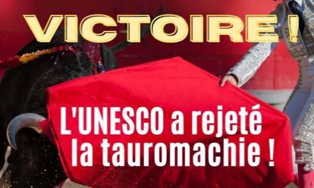Petition : Pour l'interdiction des écoles privées de tauromachie en France