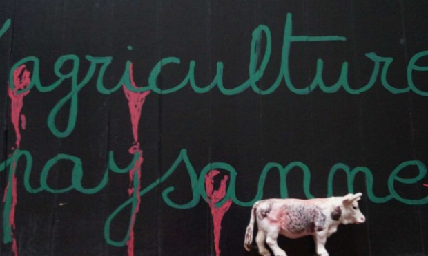 Petition : Une ferme de 400 vaches ne peut être protectrice de l'environnement !
