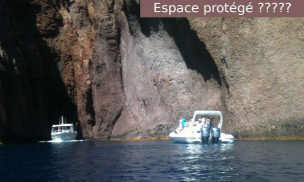 Petition : Sauvons Scandola !