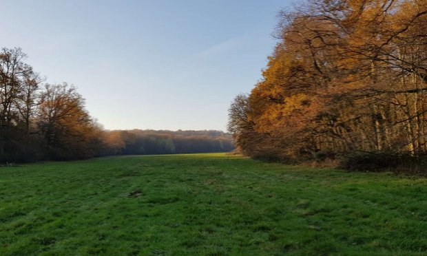 Petition : Ecocide zone humide sauvage