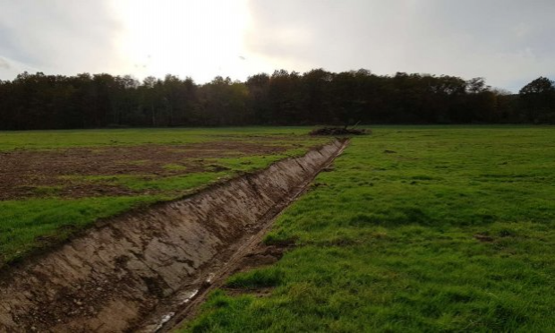 Petition : Ecocide zone humide sauvage