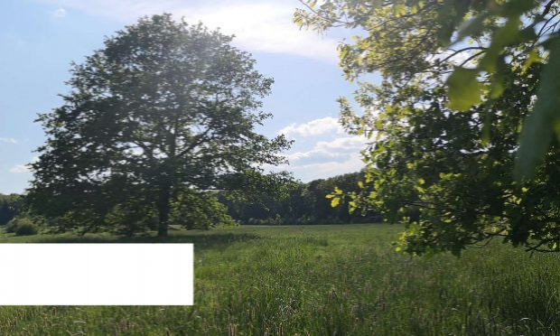 Petition : Ecocide zone humide sauvage