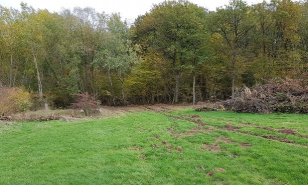 Petition : Ecocide zone humide sauvage