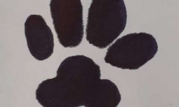 Petition : Secrétaire d'état pour les animaux de compagnie